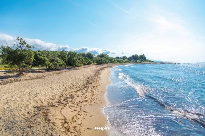 Platja de Riudecanyes